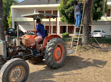 Big Cleaning Day พารามิเตอร์รูปภาพ 21